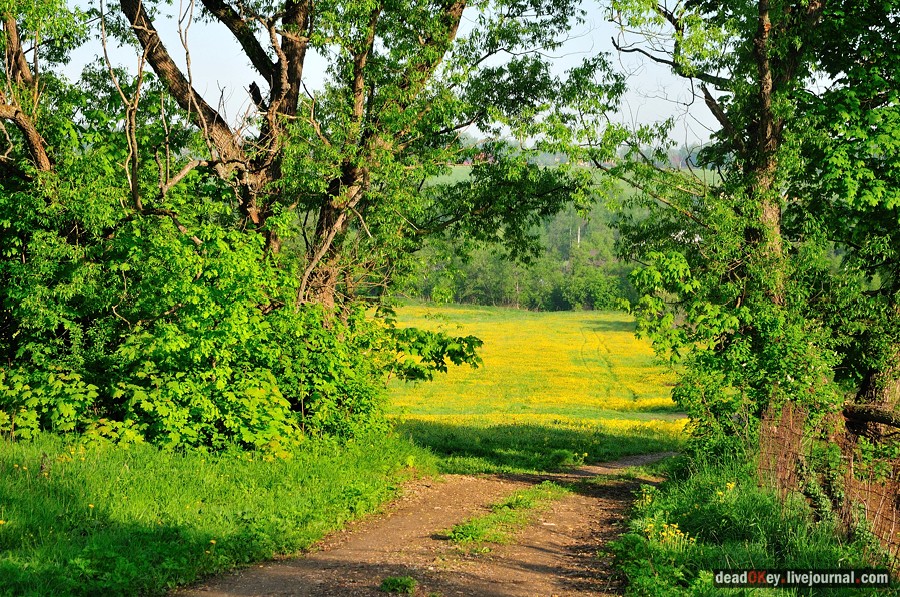усадьба Прохорово