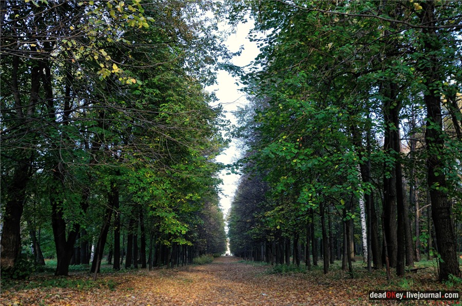 усадьба Петровское-Разумовское