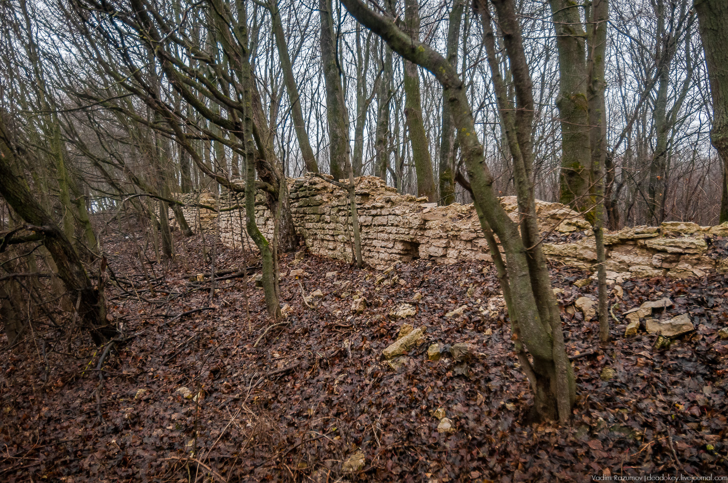 усадьба Пальна-Михайловка, аудиогид по усадбе, фото Вадим Разумов