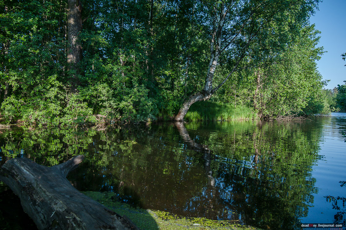 Пейзажный парк в усадьбе Гребнево