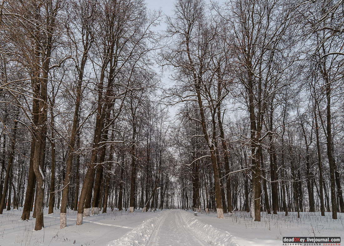 усадьба Шарапово