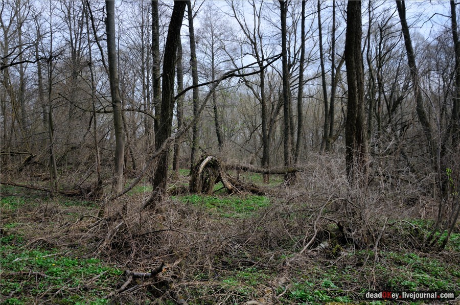 усадьба Городня