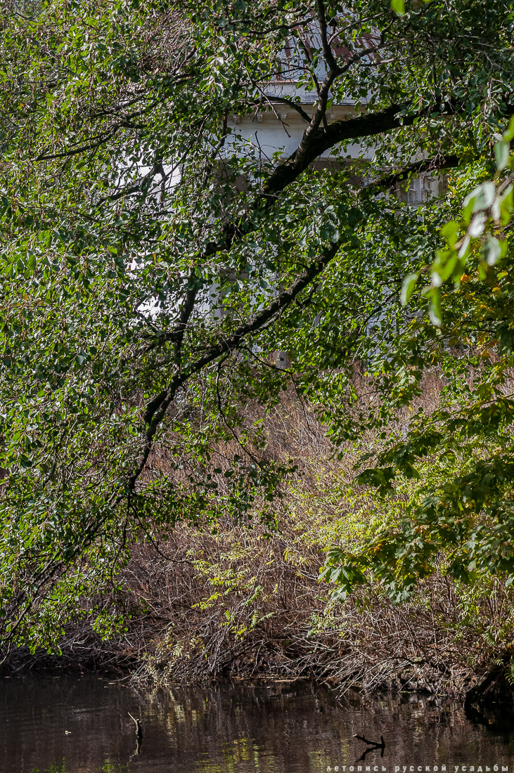 усадьба Быково, квест аудиогид