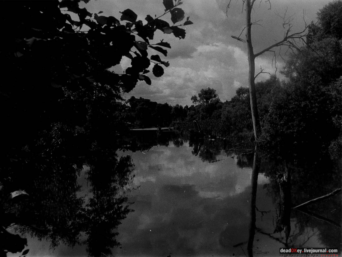 усадьба Васино