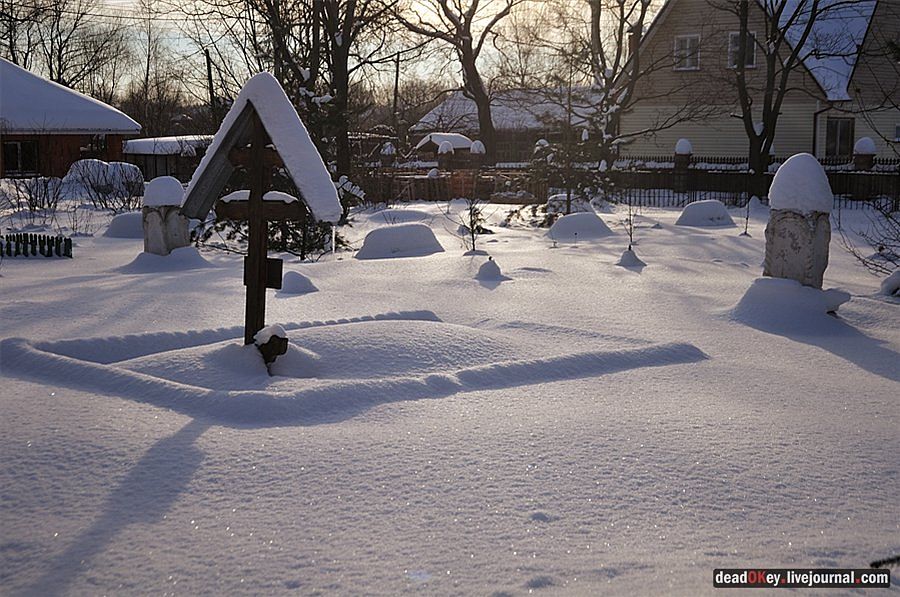 усадьба Осеченки