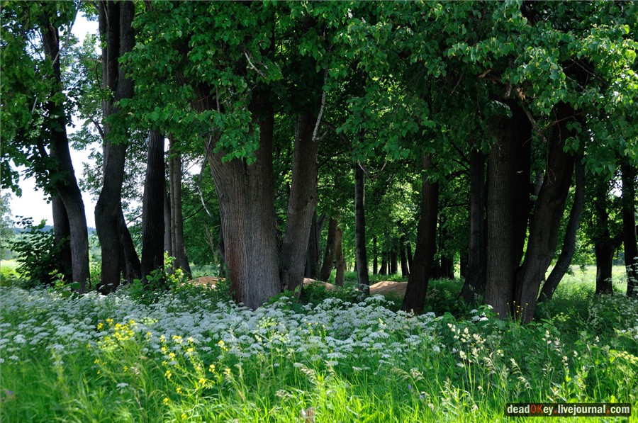 усадьба Петровское (Большепетровское)