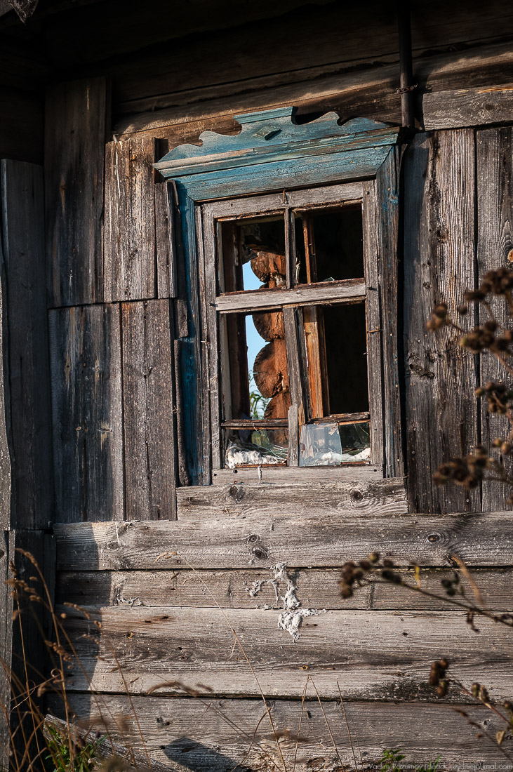 дер. Кучепалда, Архангельская обл.