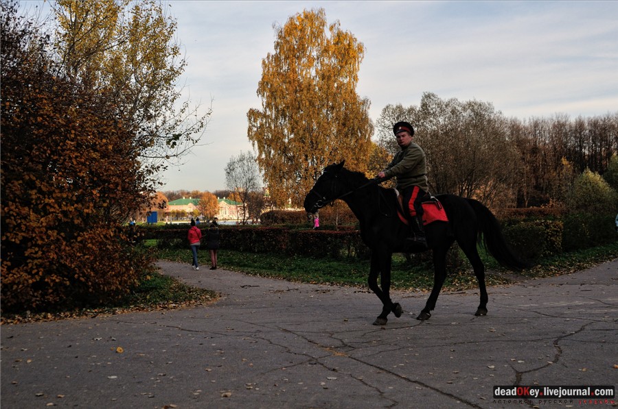 усадьба Кусково и Плющево