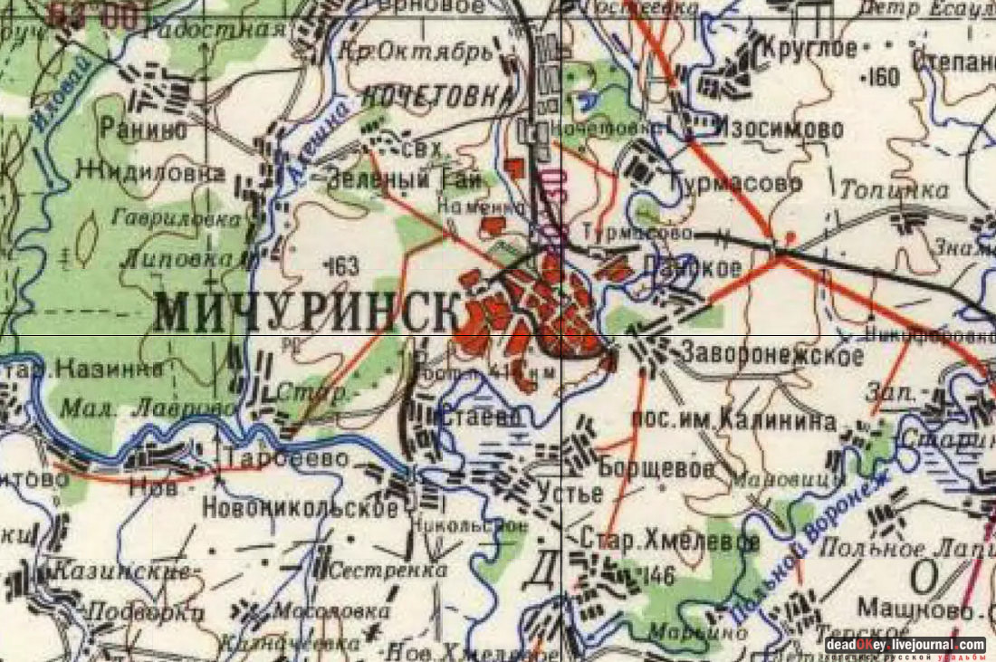 Усадьба Голицыных, г. Мичуринк