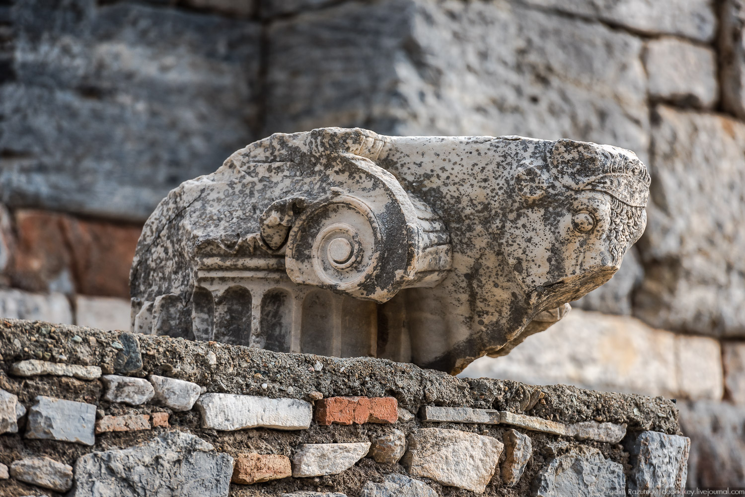 Эфес, античные руины, Турция