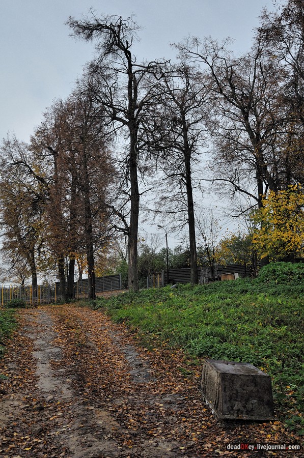 усадьба Богородской (пос. Володарского)