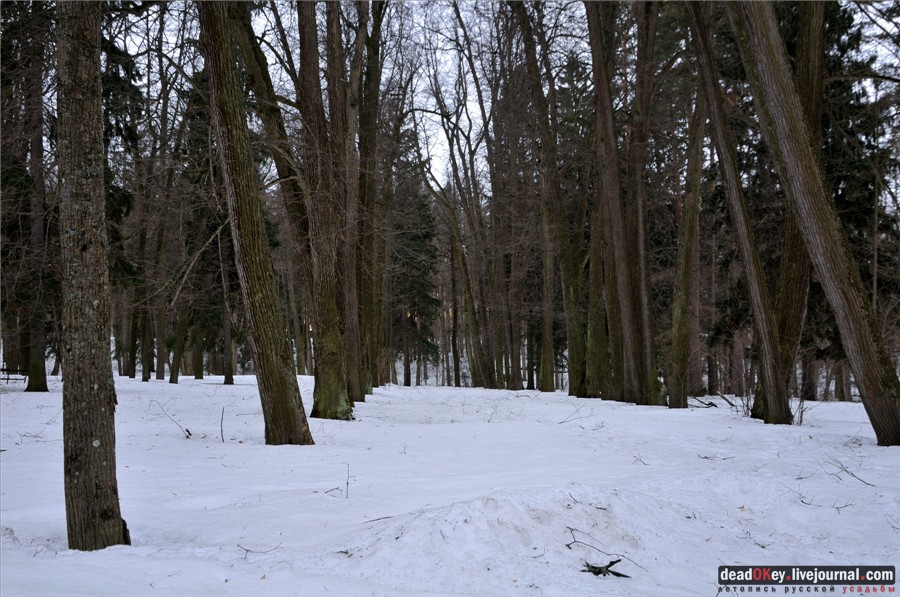 усадьба Воробьево