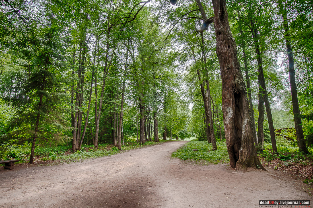 усадьба Василёво, Тверская область, Торжокский район