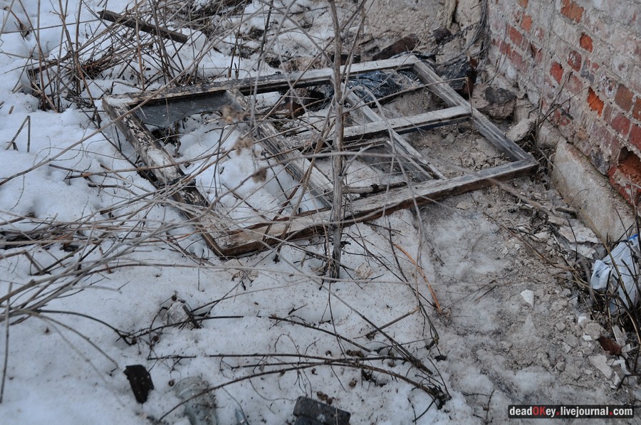 усадьба Авдотьино