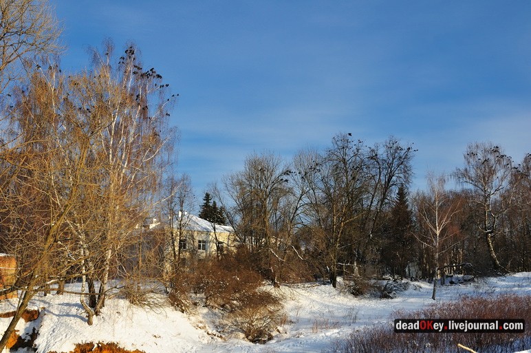 усадьба Троицкое-Кайнарджи