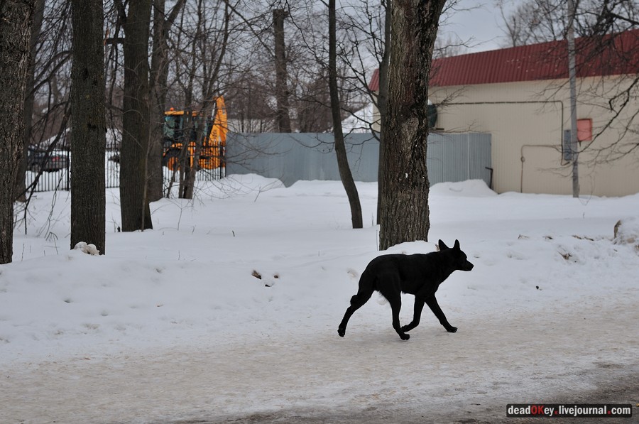 усадьба Воскресенки