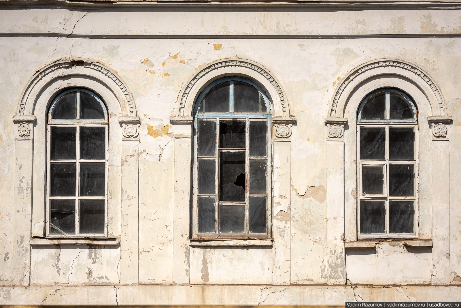 Пролески в усадьбе Репец, Задонский район, Липецкая область