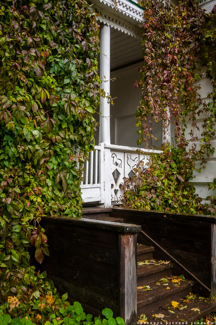 усадьба Ясная Поляна Льва Николаевича Толстого, Тульская область, осенью