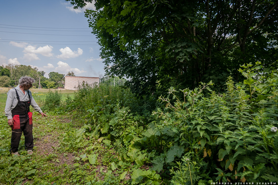 Сергиевское-на-Упе