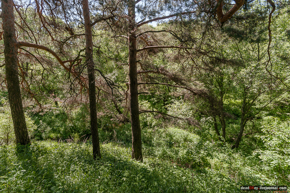 Гаврилов-Ям