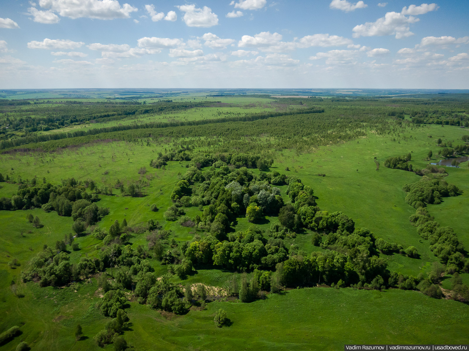 Старое Глазово, могила Василия Баженова, 2021 год
