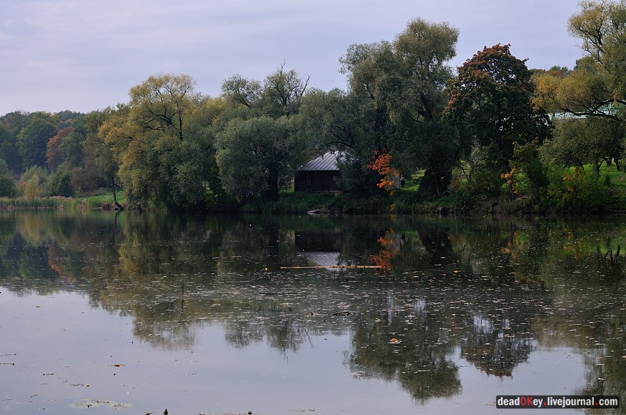 усадьба Ясная Поляна