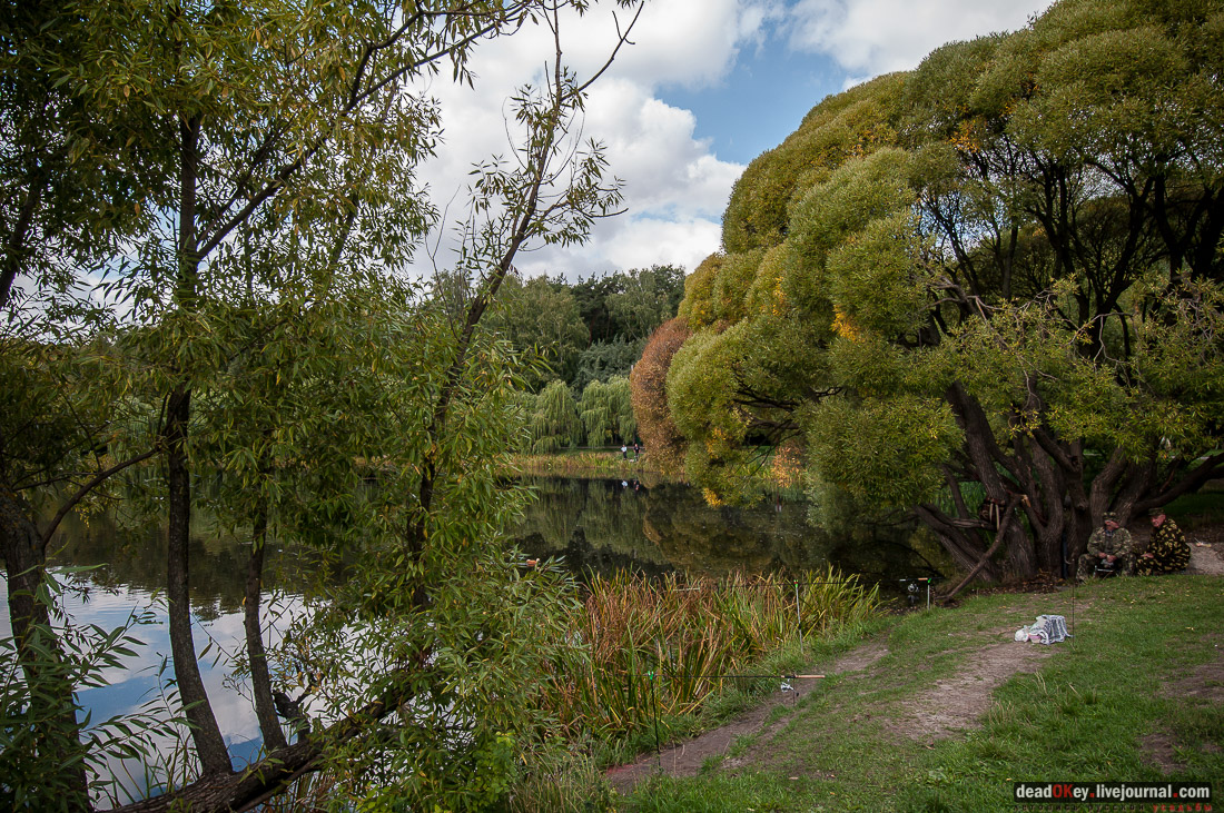 усадьба Покровское-Стрешнево, день города 2014, фотовыставка