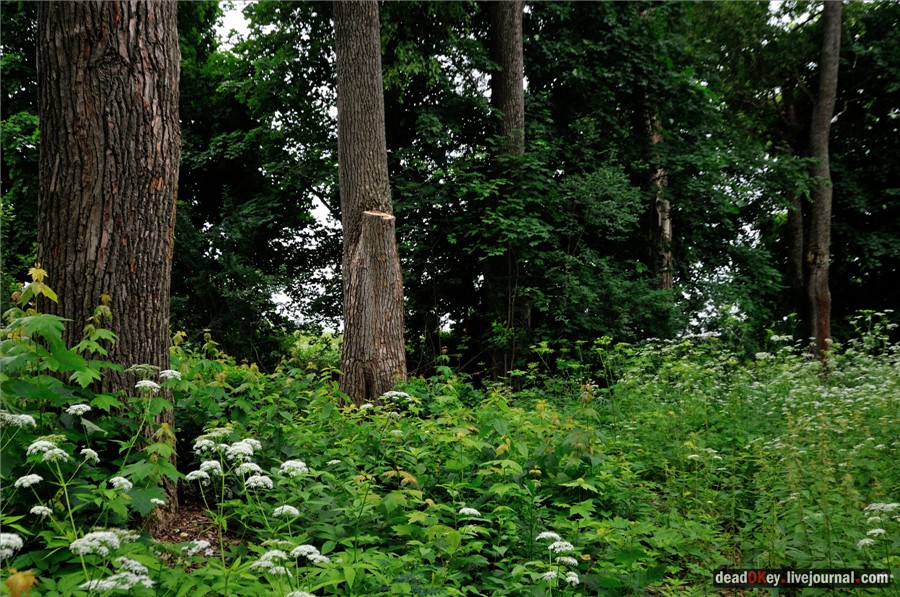 усадьба Хмелево