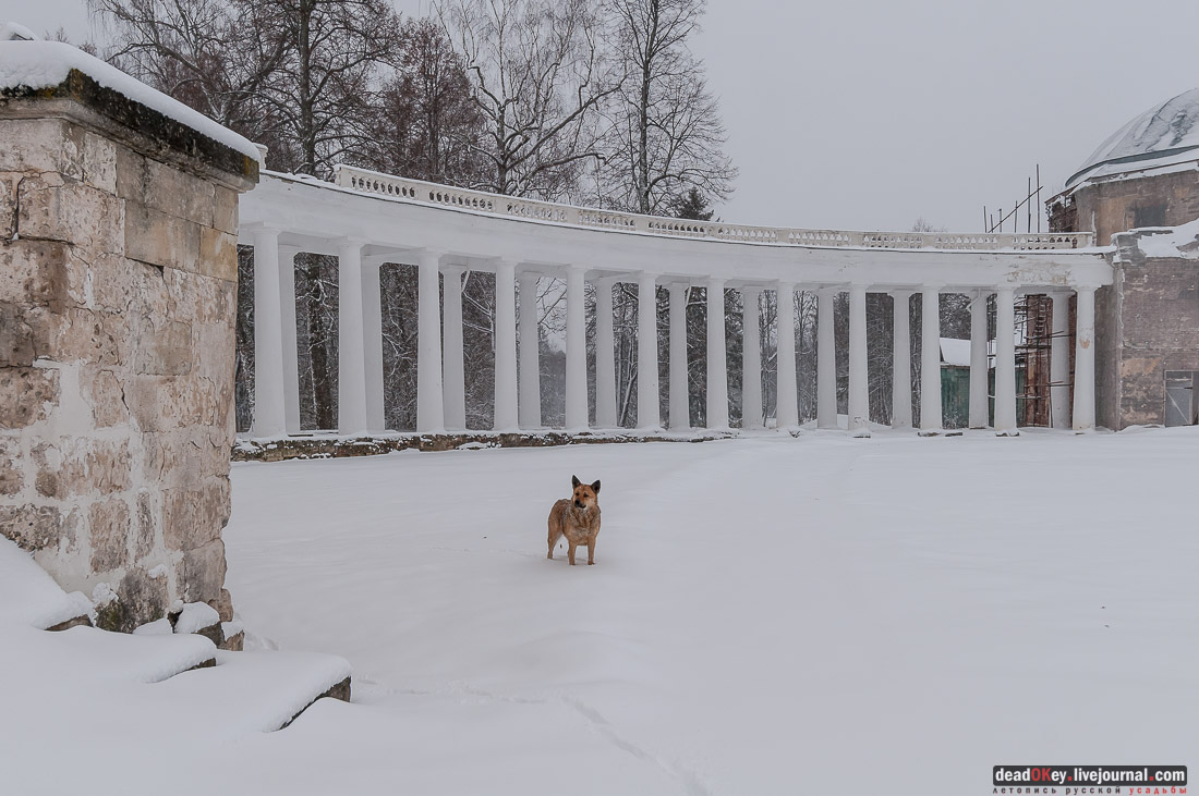 усадьба Знаменское-Раек