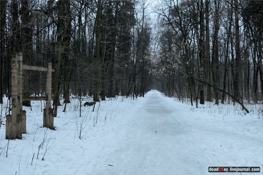 усадьба Пехра-Яковлевское