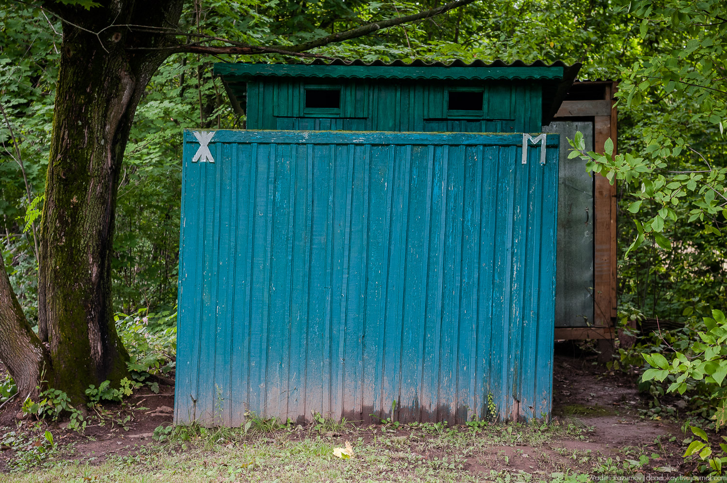 усадьба Даровое, Зарайский район, Ф.М. Достоевский