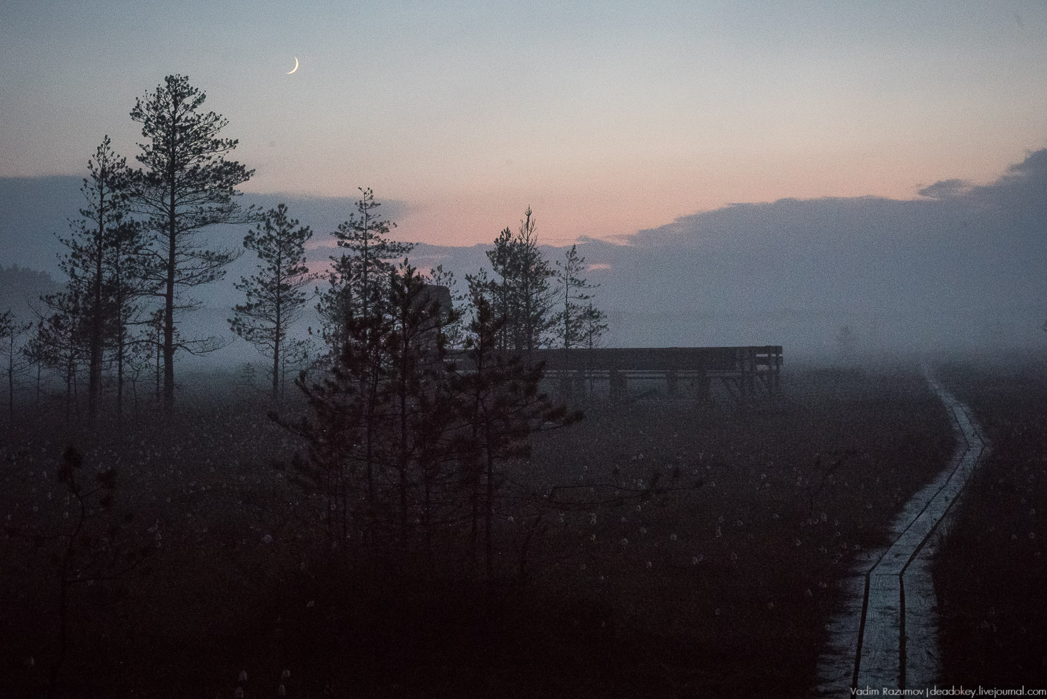 Центрально-лесной государственный природный биосферный заповедник, Нелидовский район, Тверская область, пос. Заповедный