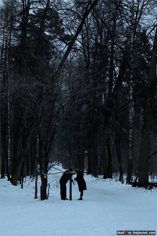 усадьба Пехра-Яковлевское