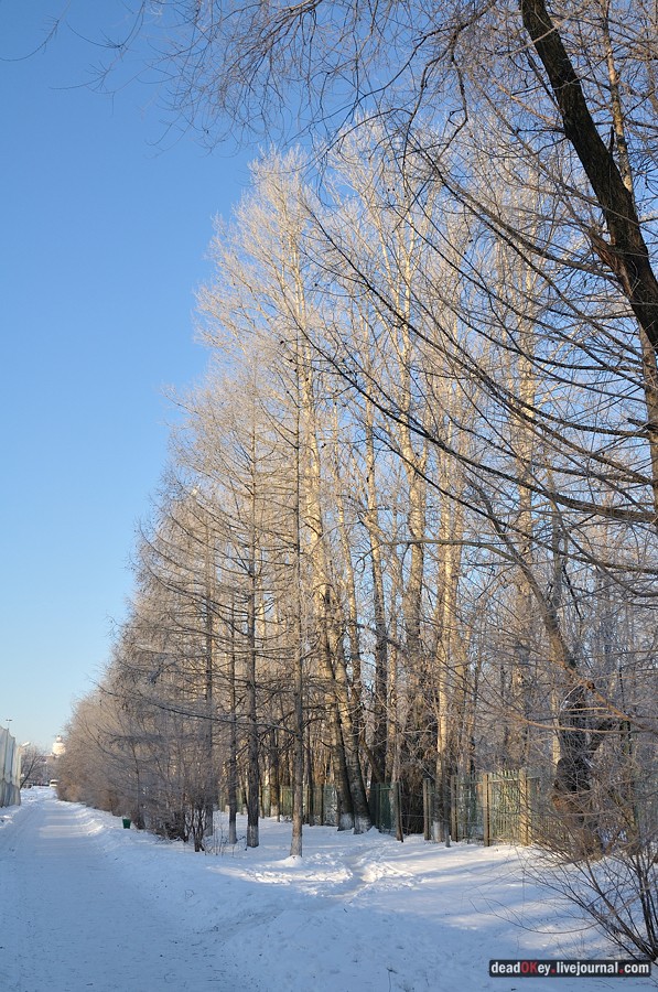 усадьба Люберцы