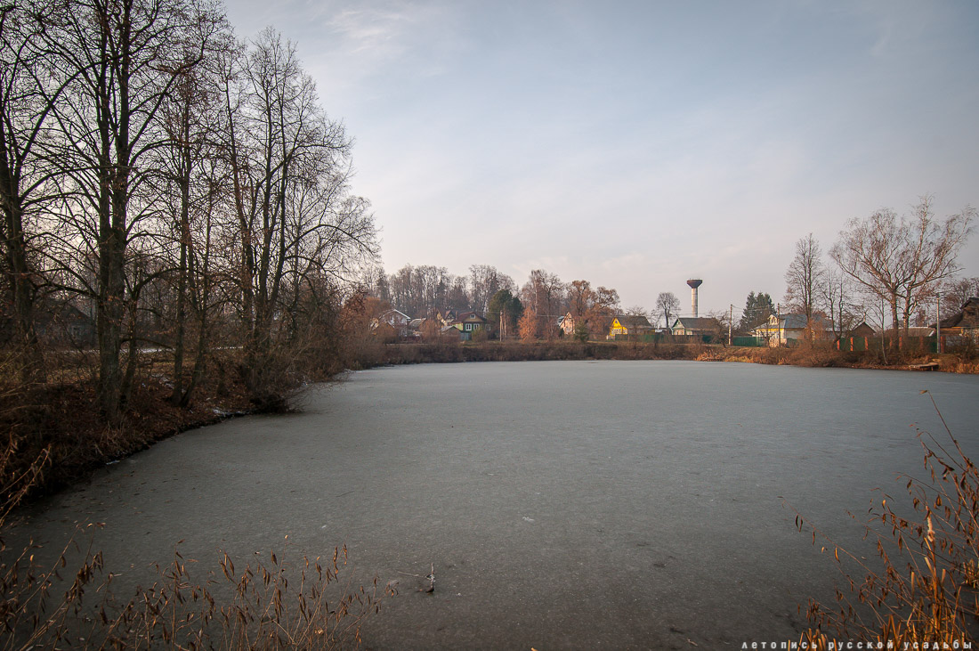 усадьба Синево, Истринский район