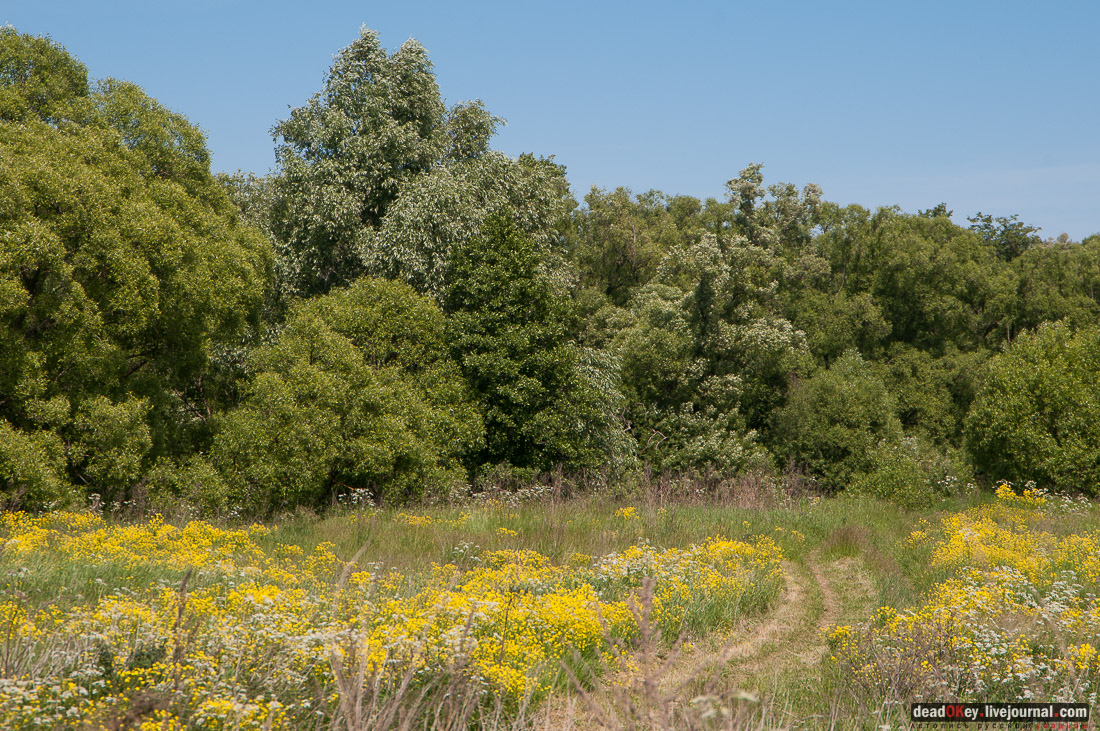 усадьба Федоровское