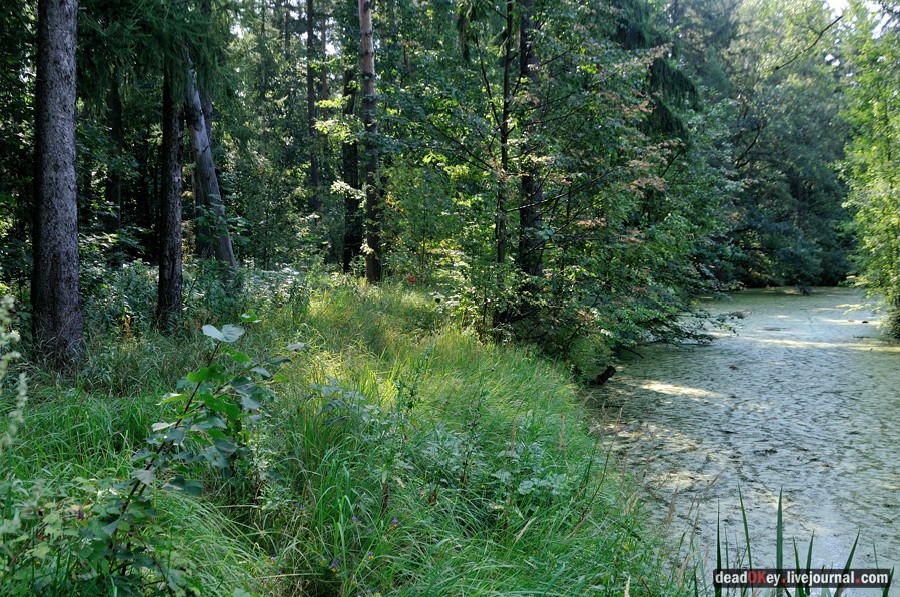 усадьба Пронино