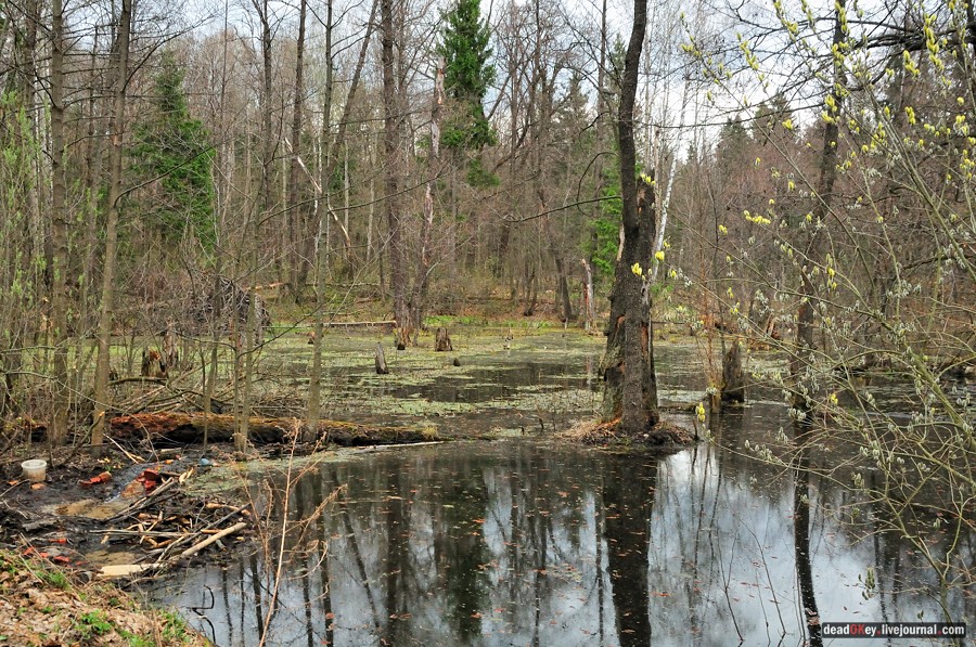 усадьба Антипино