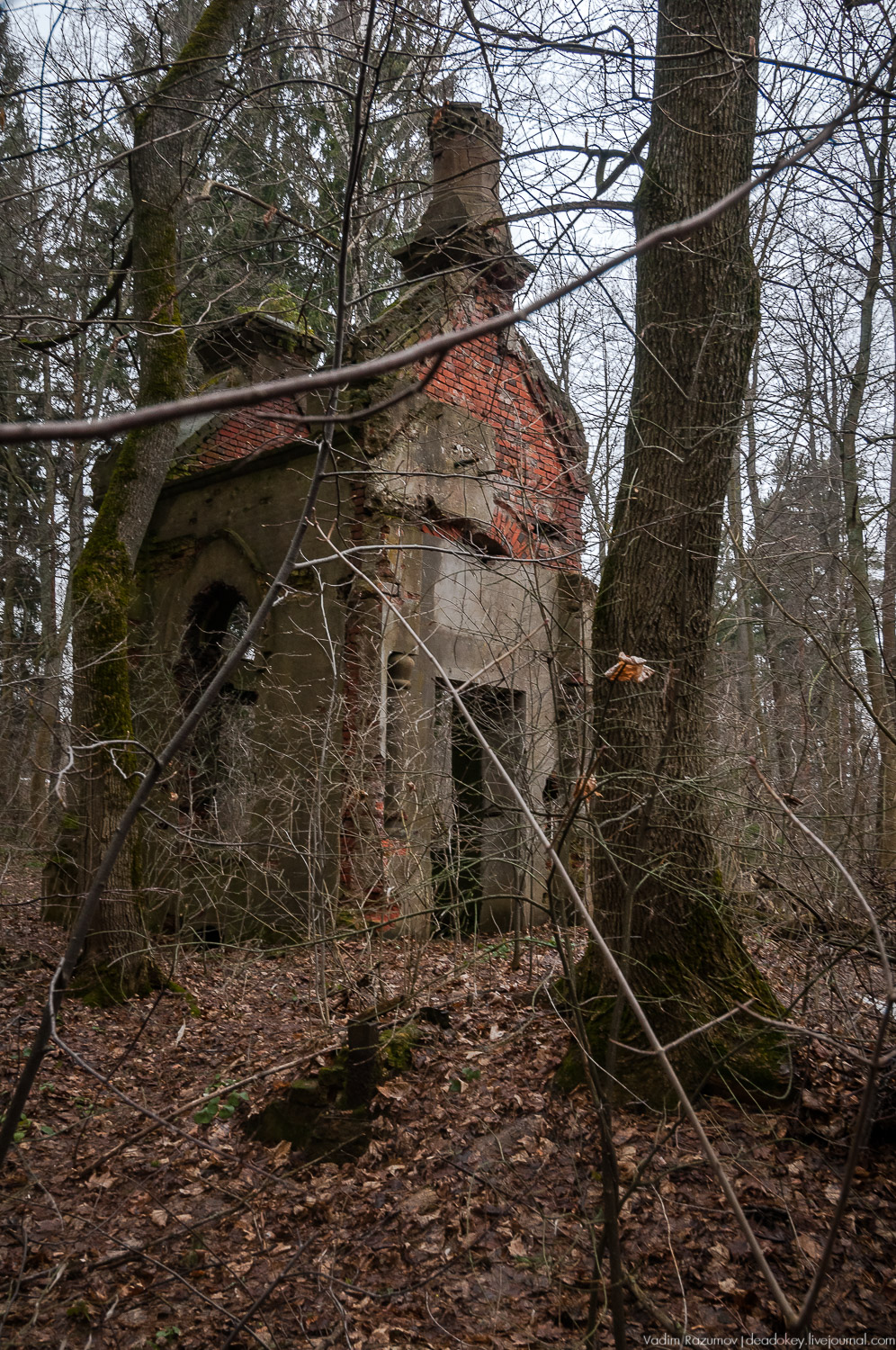 Усадьба Сенницы