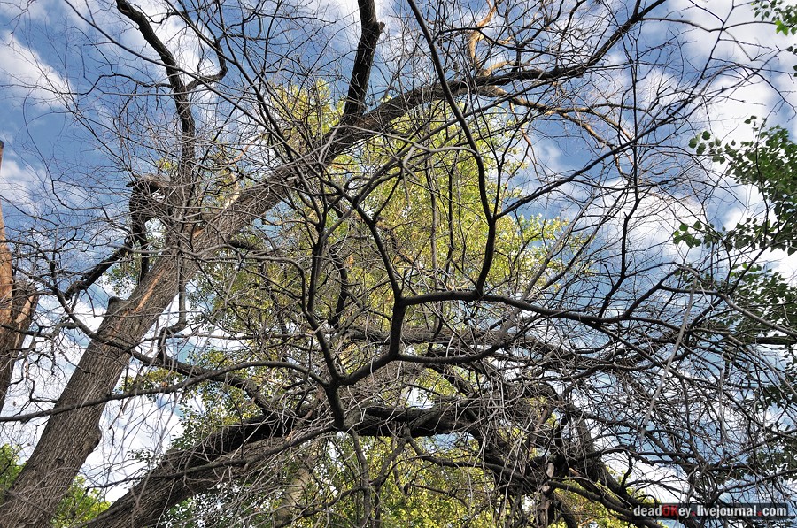 ул. Поварская д.17-19 усадьба капитана Федора Ржевского