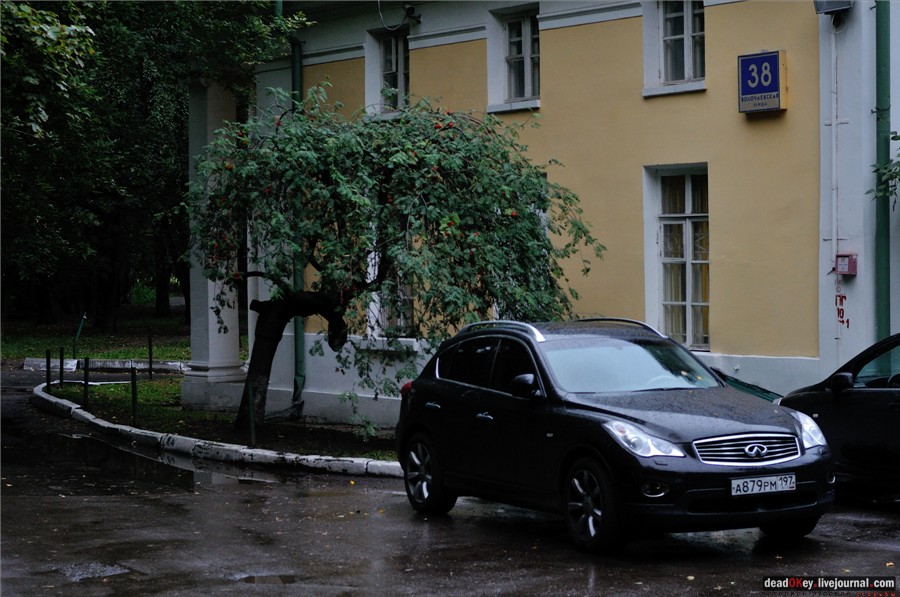 усадьба Строганова Дача