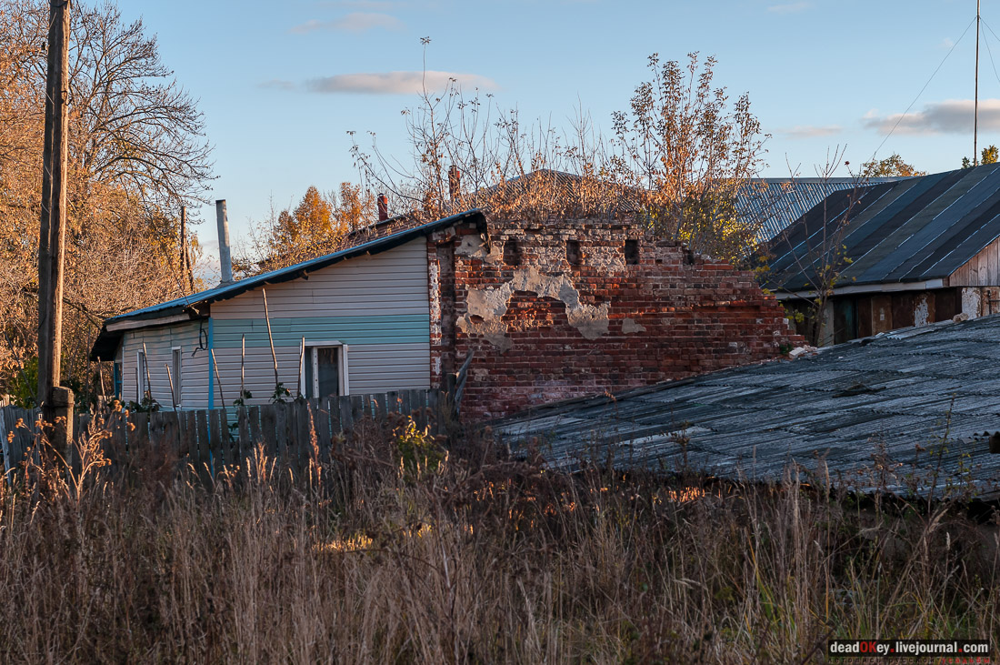 Костино