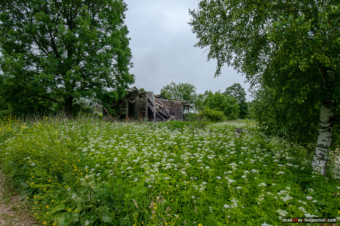 усадьба Арпачево (Тверская область, Новоторжский район, Н.А. Львов)