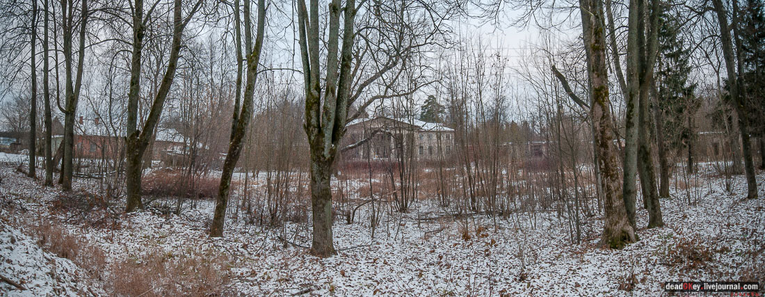 усадьба Никольское-Обольяниново