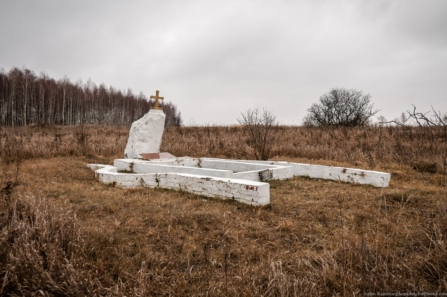 Старое Глазово, Тульская область, каширский уезд, могила архитектора В.И. Баженова