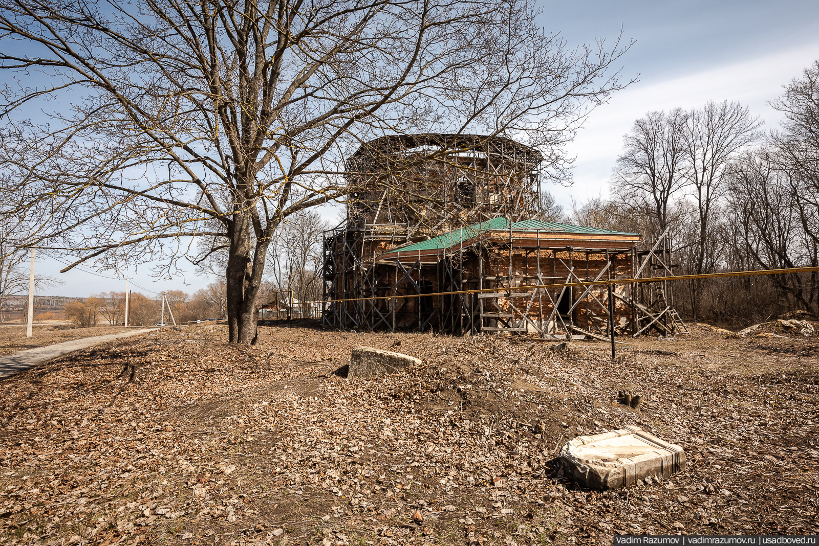 Пролески в усадьбе Репец, Задонский район, Липецкая область