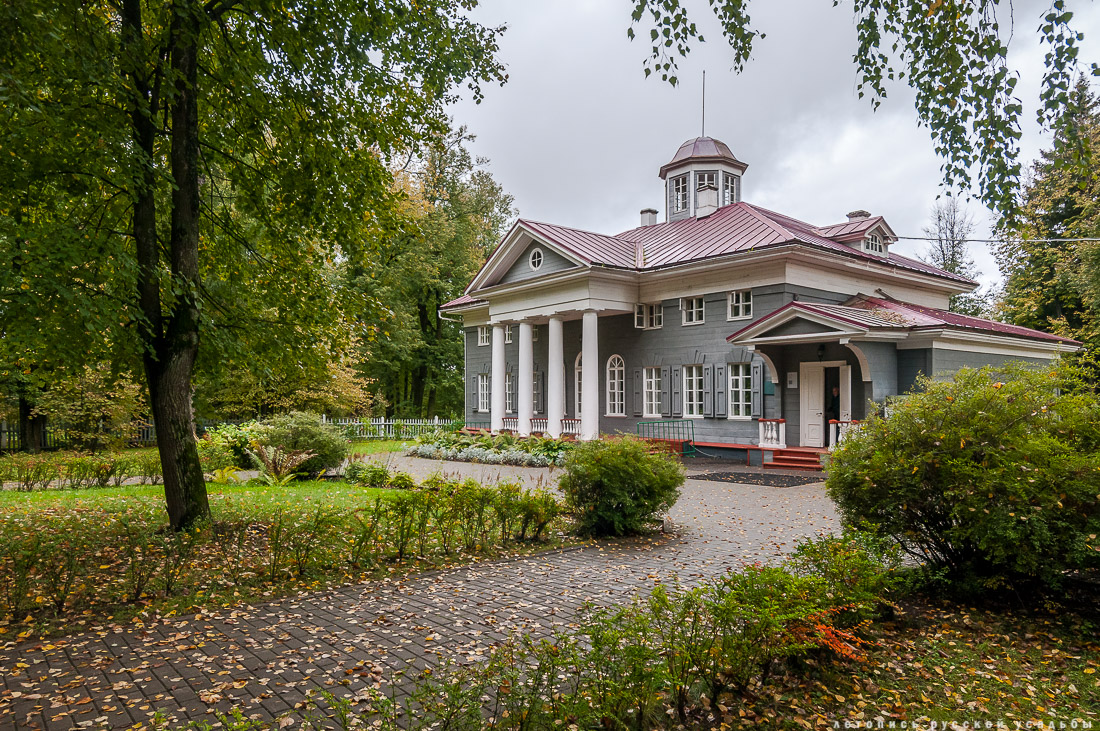 Усадебный экспресс. Вяземы - Захарово. 4 февраля 2017 года