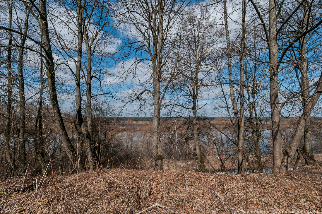 Усадьба Пущино-на-Оке