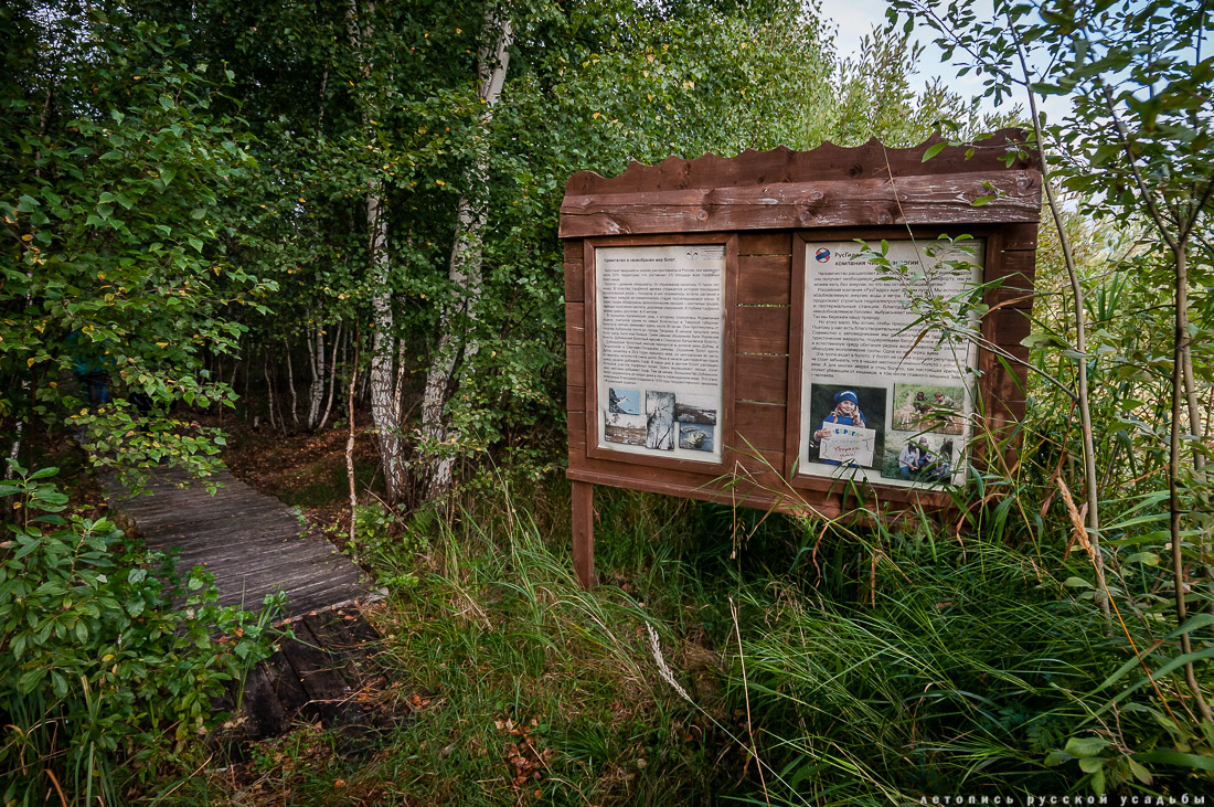 Экоэлектричка на родину журавлей в Талдомский район