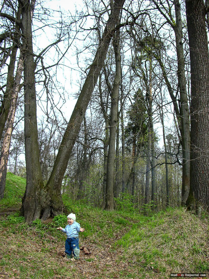 Никольское-Архангельское
